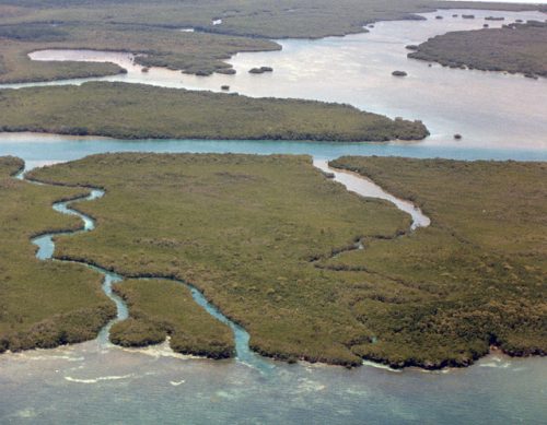 Rubicon KeyThe Florida Keys